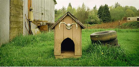 2D俯视角快节奏动作游戏《风之轨迹》现已推出试玩Demo 25年3月发布正式版